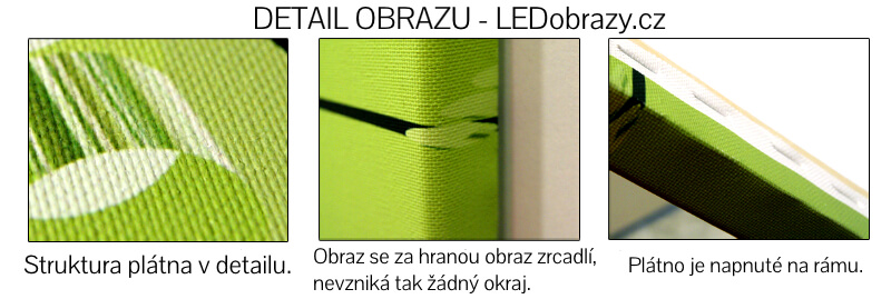 Detail obrazu